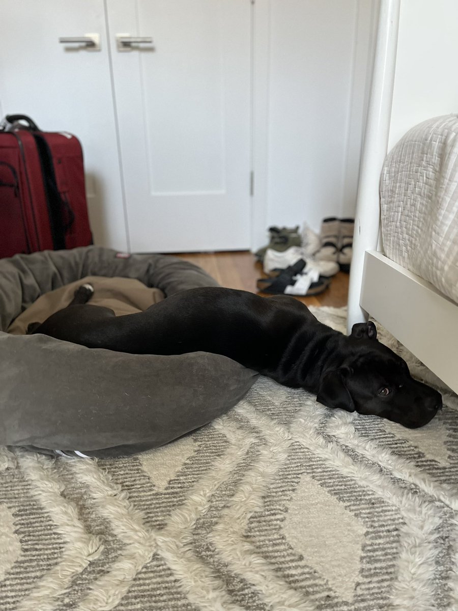 HarmonyCobelVEVO tweet media