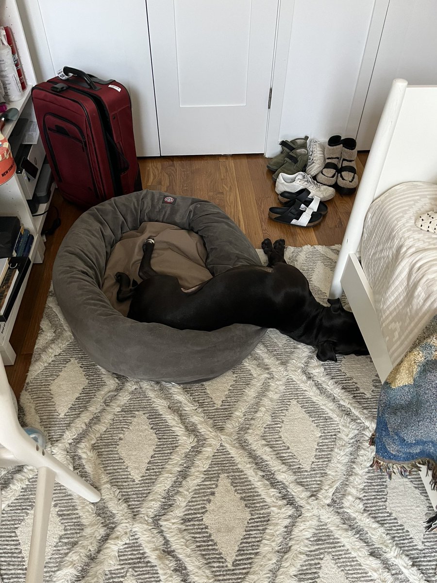 HarmonyCobelVEVO tweet media