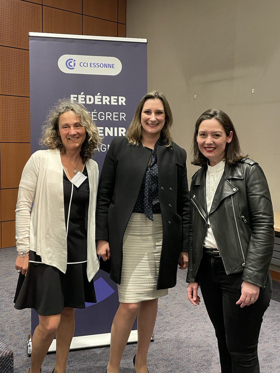 Marie-Pierre Rixain tweet media