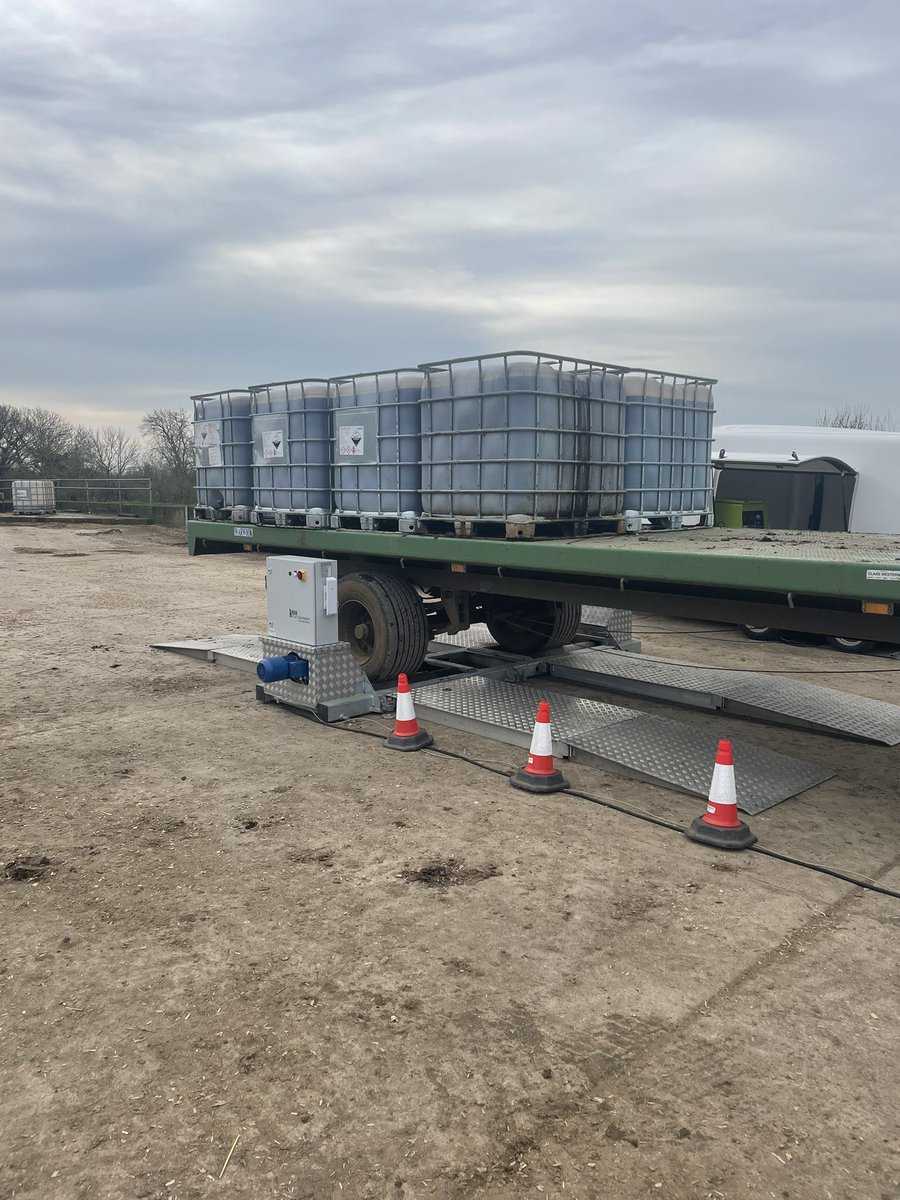 Max Mitchell tweet media