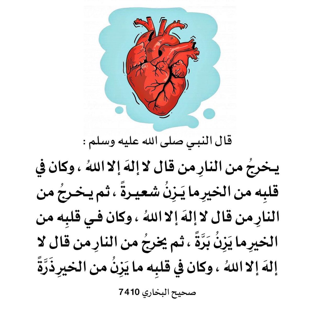 MasobSad33380's tweet photo. #وفاه_ساز_المشهوره https://t.co/bUqSYuitrR