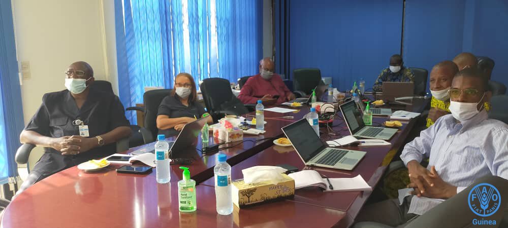 FAOGuinee's tweet photo. FAO-Guinée participe virtuellement à la 13è réunion de l'équipe multidisciplinaire (MDT) du Bureau sous-régional de la FAO pour l’Afrique de l’Ouest qui se tient du 15 au 17 mars, à Abuja-Nigeria.
#better_production #better_environment #better_nutrition #better_life https://t.co/6ExZShNnYS