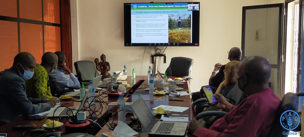 FAOGuinee's tweet photo. FAO-Guinée participe virtuellement à la 13è réunion de l'équipe multidisciplinaire (MDT) du Bureau sous-régional de la FAO pour l’Afrique de l’Ouest qui se tient du 15 au 17 mars, à Abuja-Nigeria.
#better_production #better_environment #better_nutrition #better_life https://t.co/6ExZShNnYS