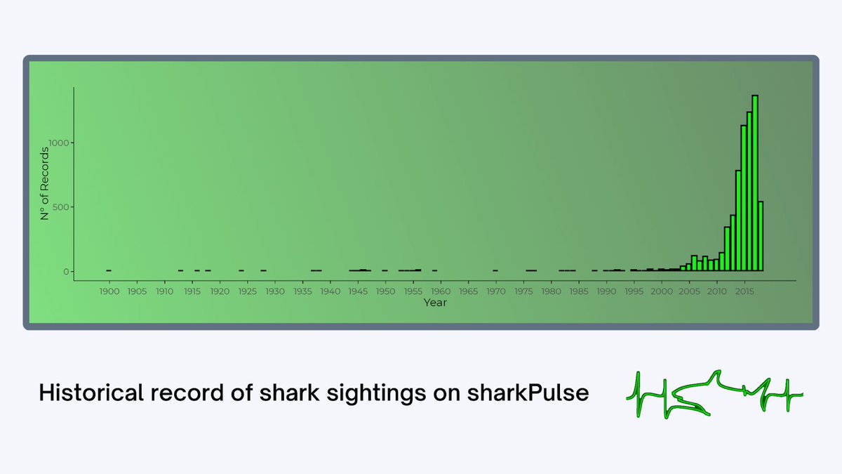 This graph represents the number of #shark sighting records submitted to sharkPulse over time. A lack of historial #data makes it difficult know the amount and rate at which that these populations are declining. This is essential for informing #conservation efforts 🦈