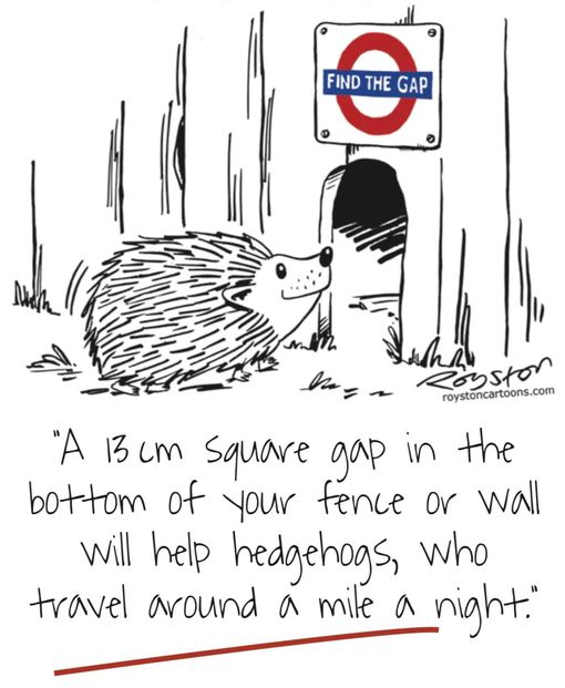 More people need to know about this. 🙂🦔