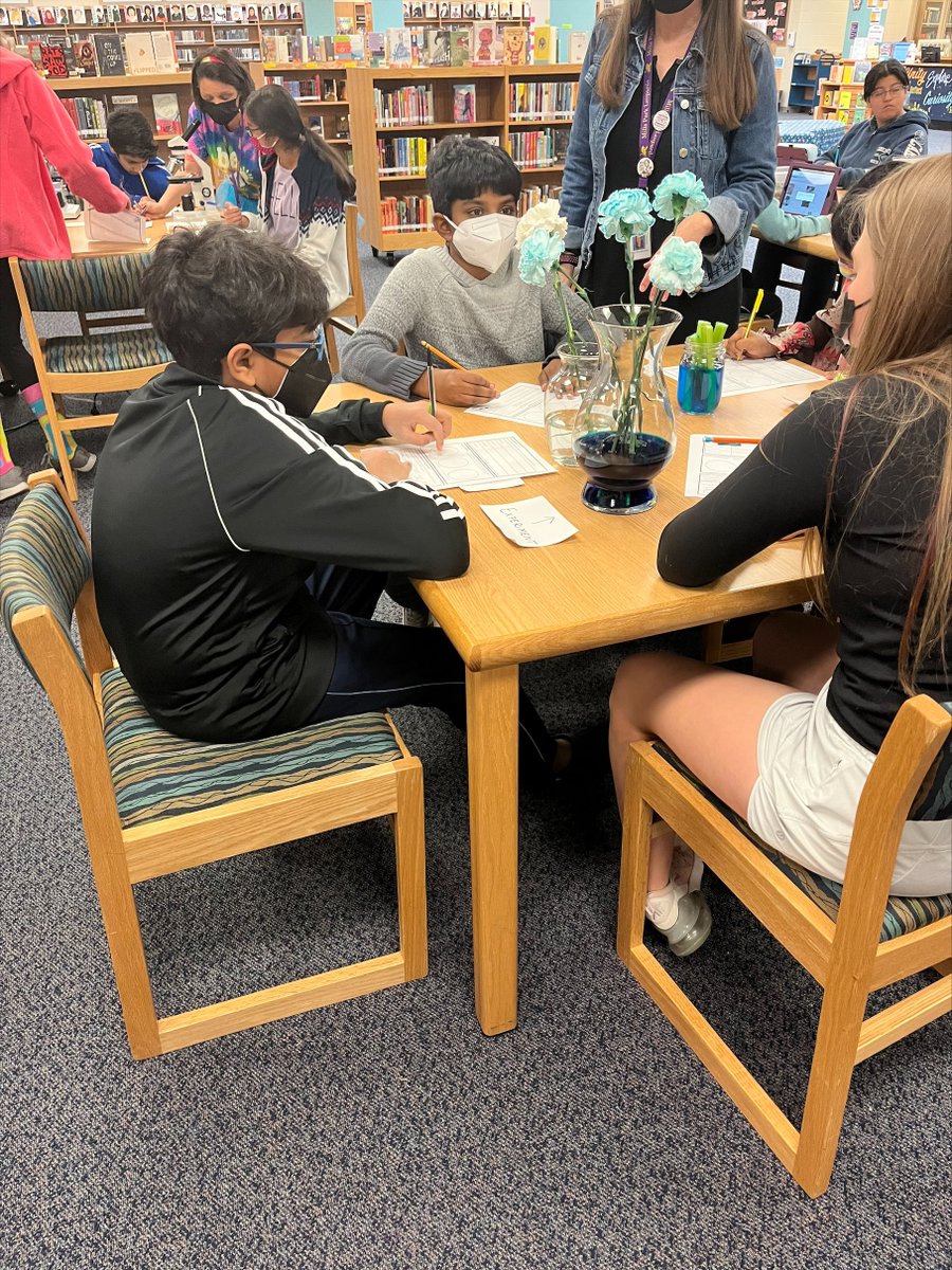 MPMSleopards's tweet photo. Our AMAZING librarians created hands on stations to help our students review the parts, functions, and adaptations of plants. The students had a blast!  @MillsParkMedia #ReviewWork #PlantLife https://t.co/KLwfvHahkk