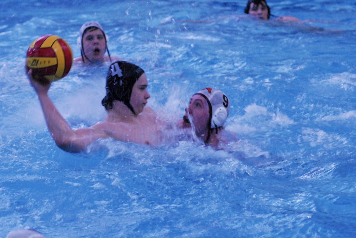 Fenwick Aquatics tweet media