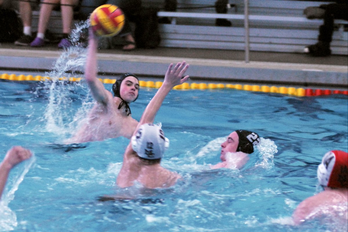 Fenwick Aquatics tweet media