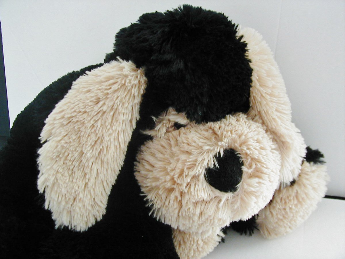 Some_of_This_or's tweet photo. Tan &amp; Black Circo Plush Dog Soft Floppy Long Ears Animal Adventures 2008  #Circo #dog #plush #toy  https://t.co/8yfPN0CW6C via @eBay https://t.co/xHREmnaCnw