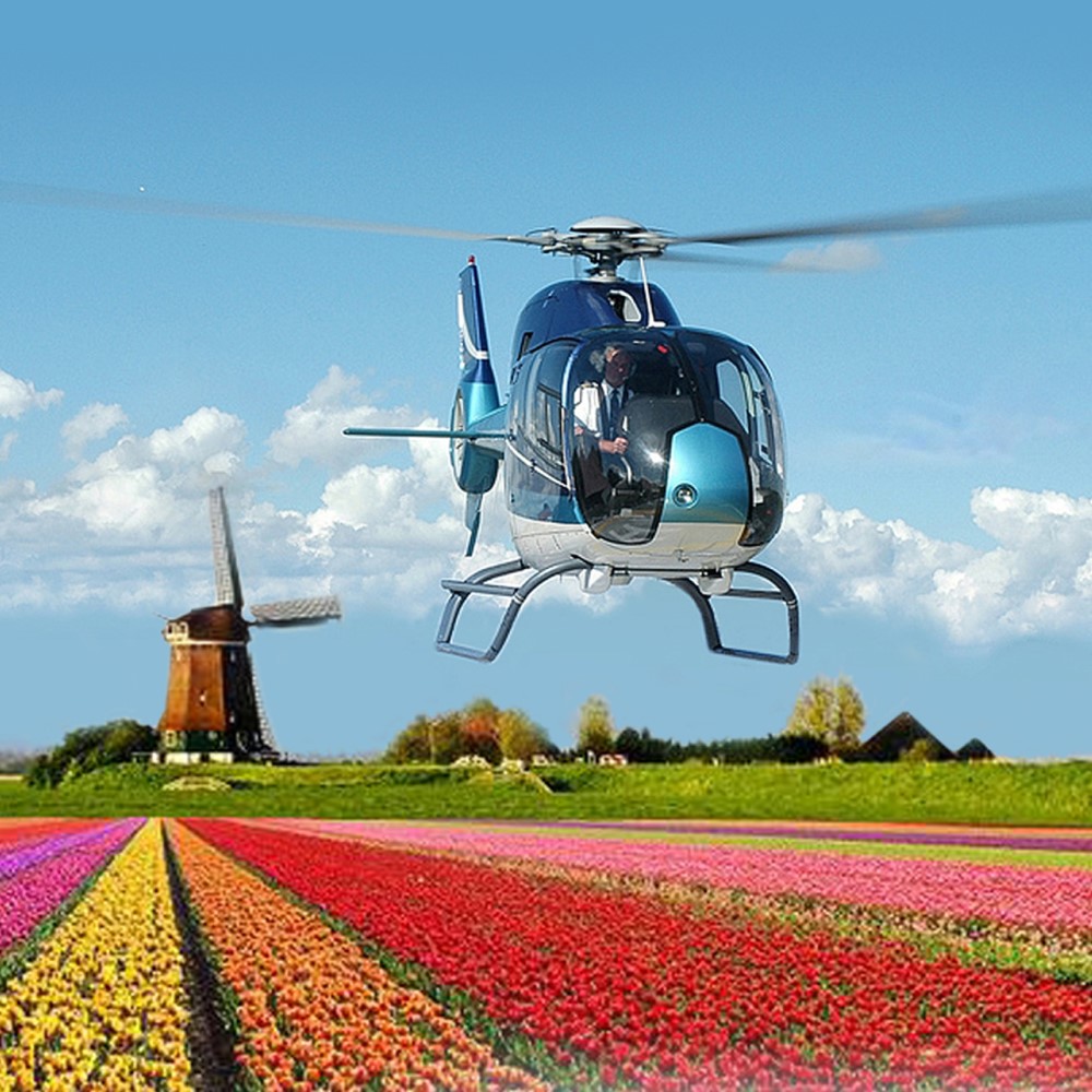 TselanaTravel's tweet photo. IMMERSION AU KEUKENHOF, PARADIS HOLLANDAIS DES TULIPES 🌷
En avril, survolez en hélicoptère les plus de 7 millions de tulipes, jonquilles et jacinthes du parc Keukenhof, à quelques pas d'Amsterdam, où vous attend un cocon luxueux : The Dylan.
#CityBreak #Amsterdam https://t.co/OuVXKr5wRc