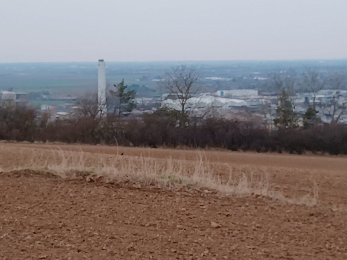 Auf dem Heimweg...