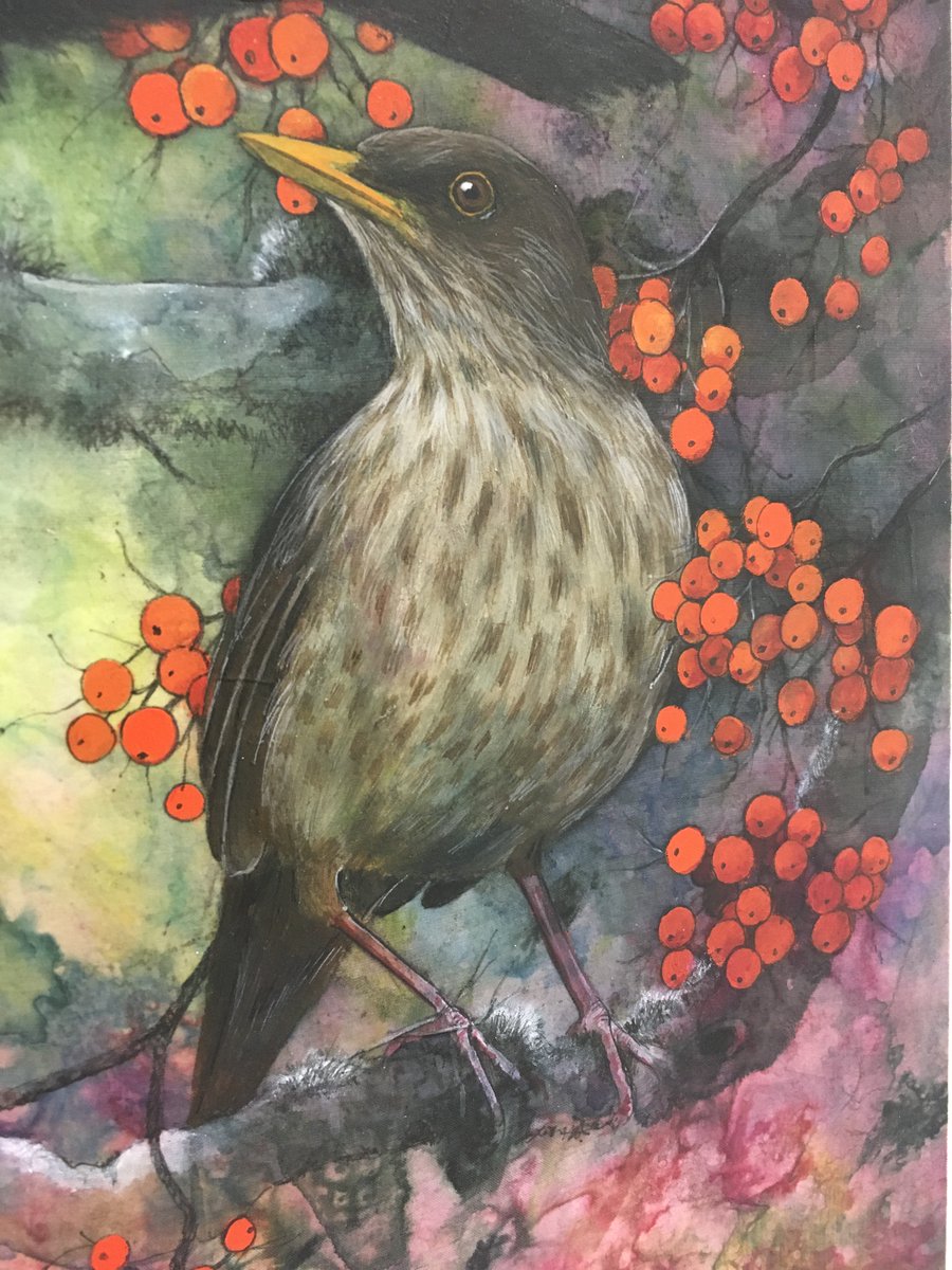 Alpha Art Gallery tweet media