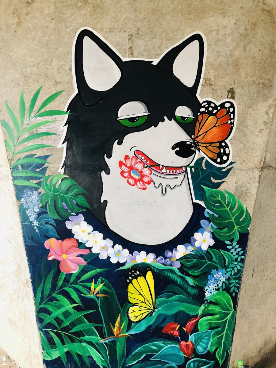 tranges889's tweet photo. Today is my 6rd day of trying.
I'm working on the concept of the project of colors of life, and bringing Shiba to spreading and close to the community
@MutantShibaClub @berrytheartist @crazyJUUMP
@Gaba8545 @LordSlabs
@AngryVikingzNFT @Tobi_Shotgun @elforjani_ali
#MSC #FANART https://t.co/OyQpBdXzdl