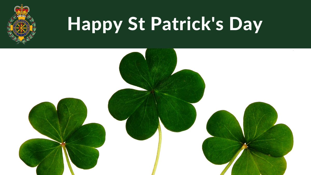 WelshAmbulance's tweet photo. Wishing our Irish staff, volunteers, patients, followers and colleagues @AmbulanceNAS a #HappyStPaticksDay https://t.co/TH5slvGzIo
