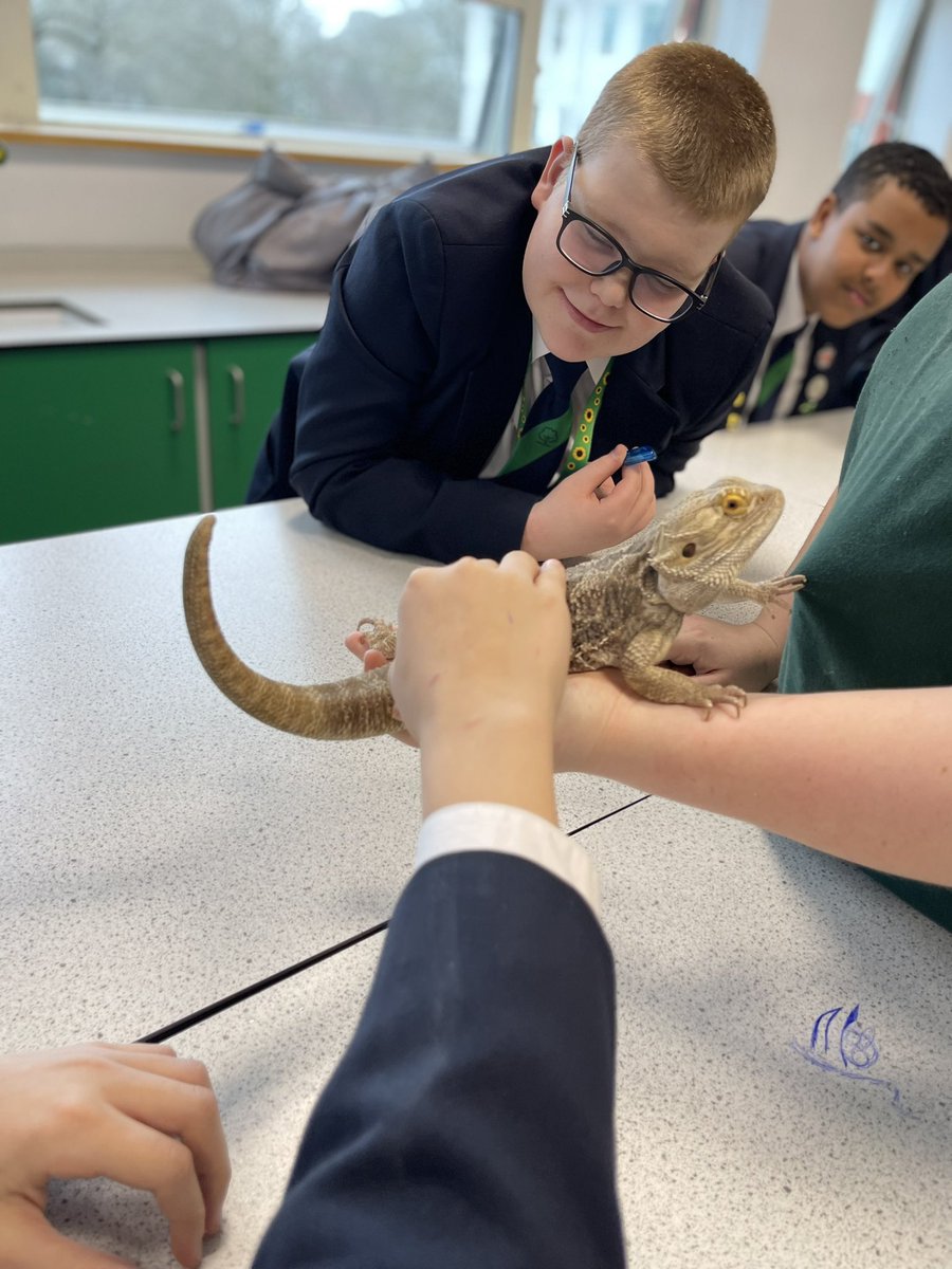pathwaysdept's tweet photo. When the geckos, snakes and ‘dragons’ come to play! Thank you for the fabulous experience for our Year 8 students @KEV_Science @MA_ScienceDept @McrAcademy #BritishScienceWeek2022 #BritishScienceWeek #science #enrichment https://t.co/yBbF1o5DgV