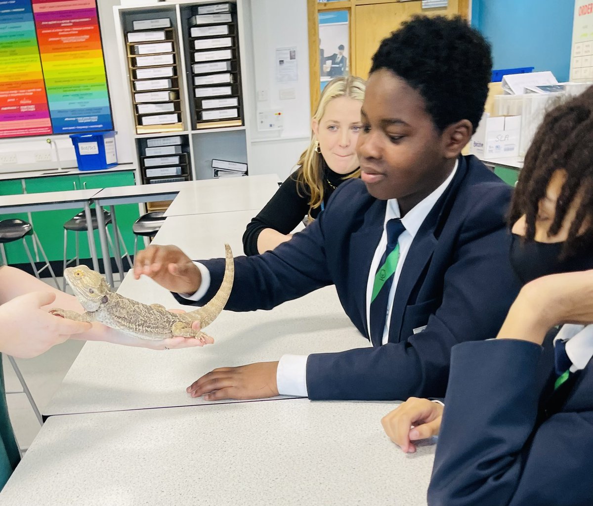 pathwaysdept's tweet photo. When the geckos, snakes and ‘dragons’ come to play! Thank you for the fabulous experience for our Year 8 students @KEV_Science @MA_ScienceDept @McrAcademy #BritishScienceWeek2022 #BritishScienceWeek #science #enrichment https://t.co/yBbF1o5DgV
