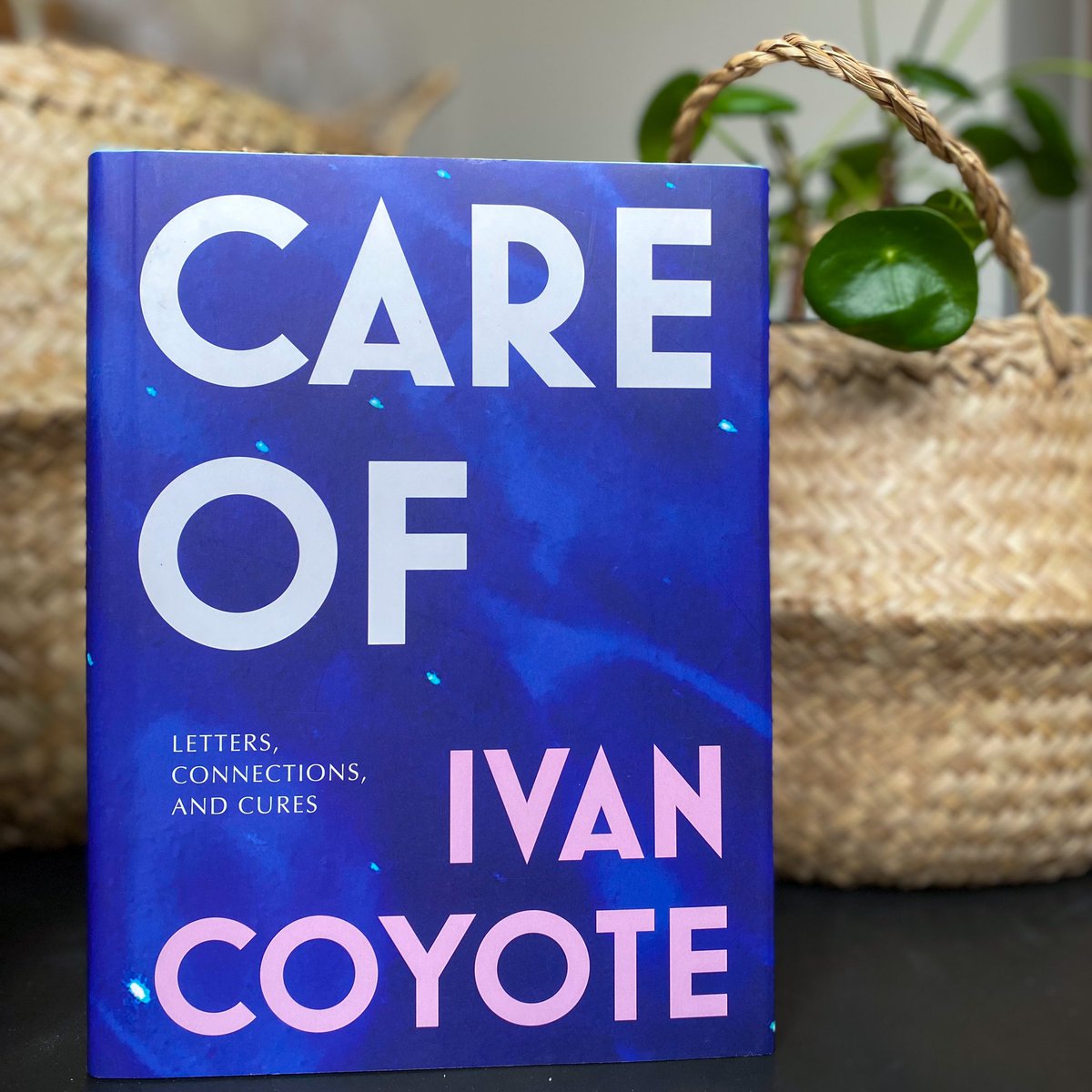 McClellandBooks's tweet photo. CARE OF is a finalist for the 2022 Lambda Literary Awards. Congratulations @ivancoyote, your powerful work continues to move and heal us all 💜🎉 https://t.co/B5F9v1I4ox