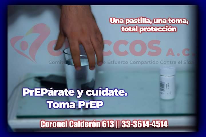 CHECCOS AC tweet media