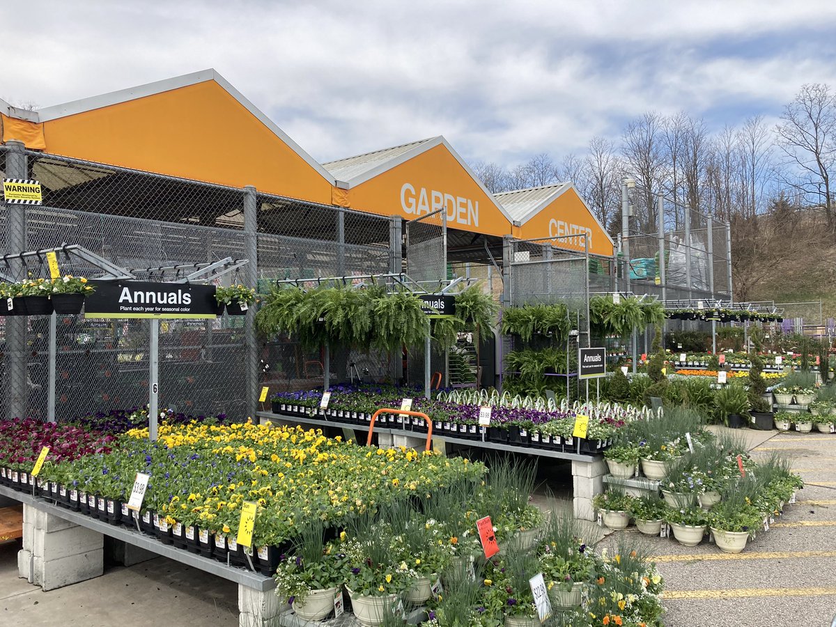 Amanda Fore tweet media