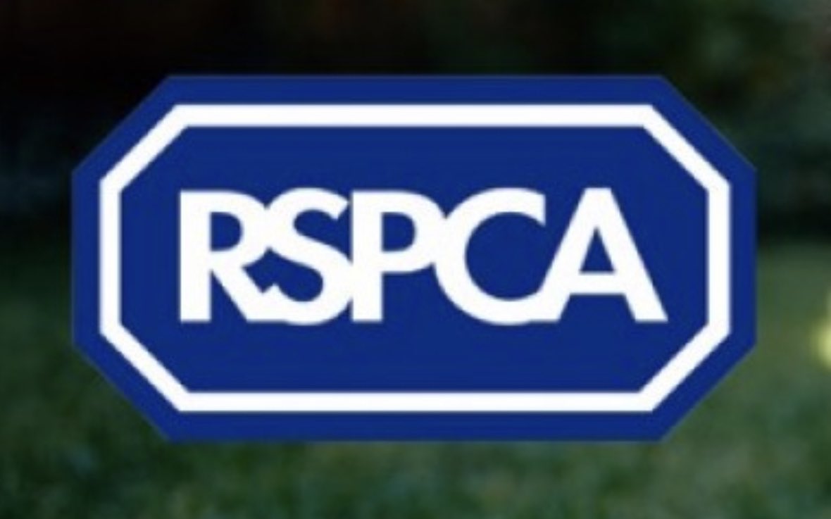 Chris Packham tweet media