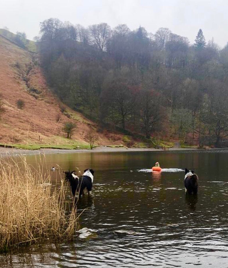 zakthecolliedog's tweet photo. Postherpetic neuralgia - the pain after Shingles. First dip in weeks, it was quick & painful but psychological rewarding.
♥️ Mrs H, #jessedog & #jackthelad
(Any tips for a quick recovery do let me know!)
#shingles #recovery #postherpeticneuralgia #beingopen #beinghonest https://t.co/xHfUtr3S2w