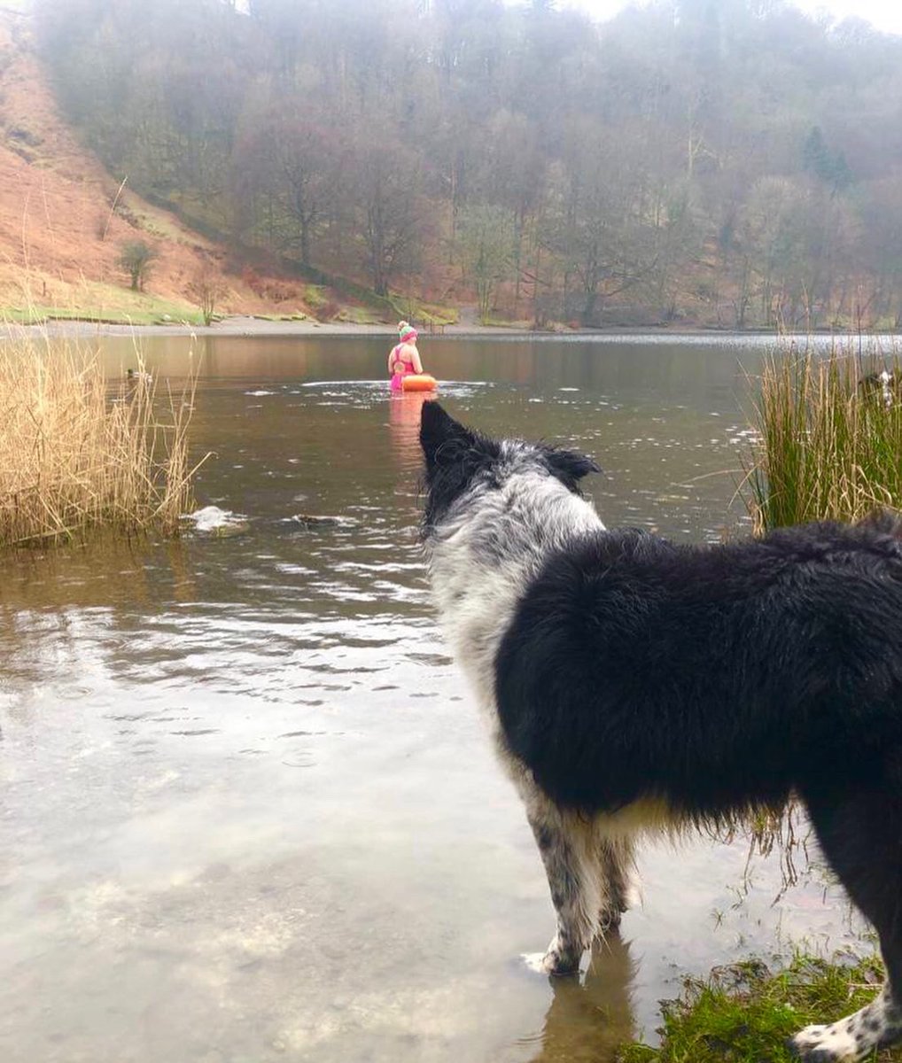 zakthecolliedog's tweet photo. Postherpetic neuralgia - the pain after Shingles. First dip in weeks, it was quick & painful but psychological rewarding.
♥️ Mrs H, #jessedog & #jackthelad
(Any tips for a quick recovery do let me know!)
#shingles #recovery #postherpeticneuralgia #beingopen #beinghonest https://t.co/xHfUtr3S2w