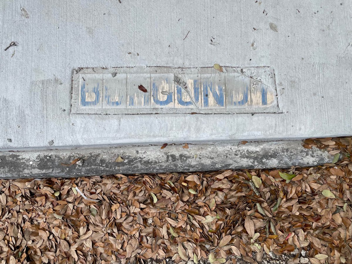 WWLTV's tweet photo. Historic street tiles are disappearing across New Orleans. It seems many have not been replaced after recent work on roads and sidewalks. Some are also misspelled. Is this happening on your street? @PMurphyWWL https://t.co/hV89QUSWMN