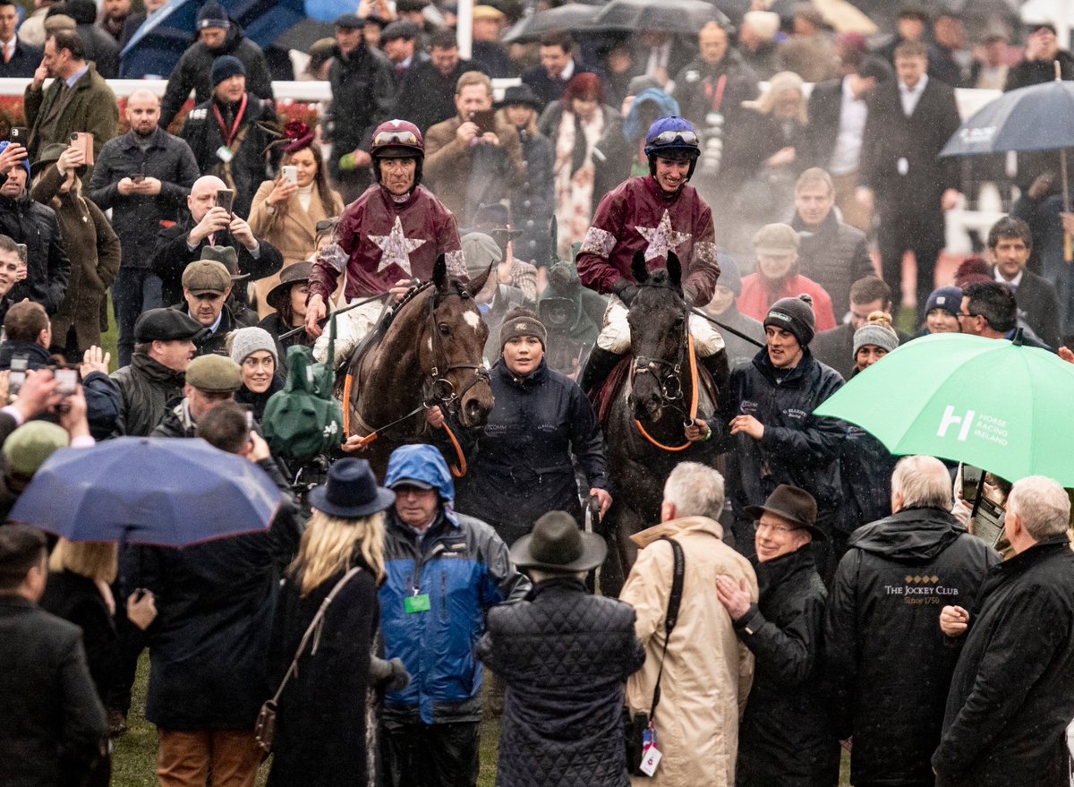 Gordon Elliott tweet media