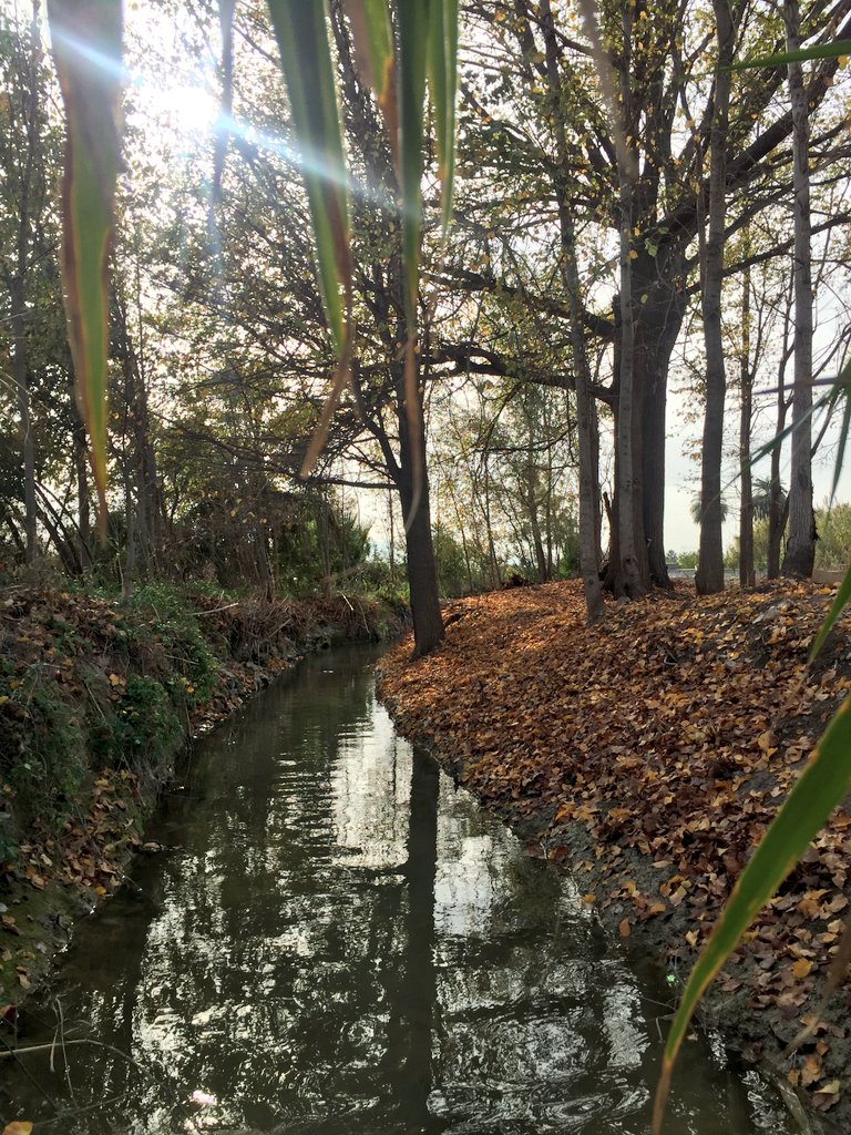 🍋   💚 #HuertaDeMurcia 💚   🍋

Que en 2022 se sigan entubando y destruyendo acequias como esta, merece una reflexión.

¿Cómo explicar a futuras generaciones que tuvimos este tesoro y lo destruimos?