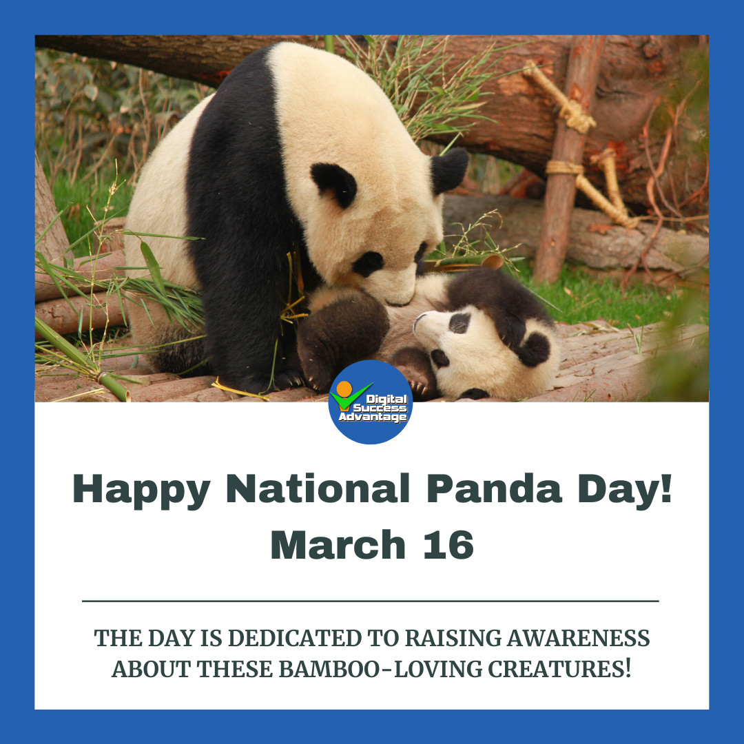 DSABusiness's tweet image. Happy National Panda Day!