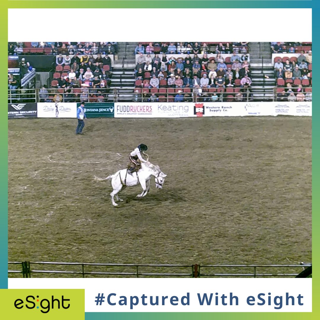 eSightEyewear's tweet photo. This week's #CapturedWitheSight is brought to us by one of our outstanding coaches, Rosa!
Rosa proves that the only accessory you will ever need is your eSight device! Even when attending a Rodeo!
#CapturedWitheSight #SeeNewPossibilities #eSight #eSight4 https://t.co/vmxyAxeLre
