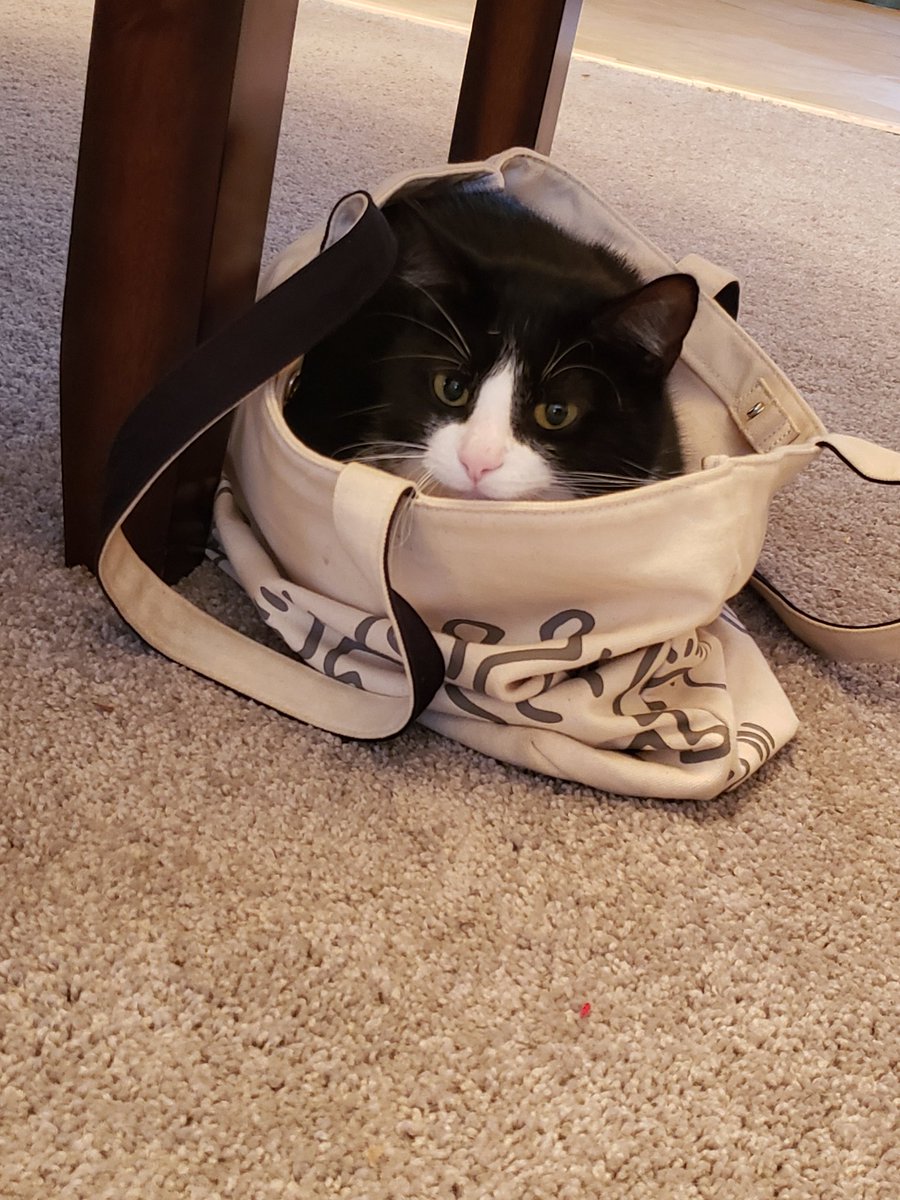 Art Dahm tweet media