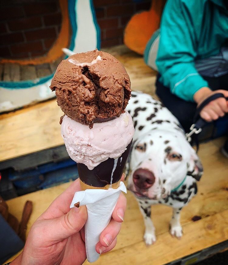 GRUBMCR's tweet photo. 🍦IT’S ICE CREAM TIME🍦

Well well well, what’s this?
It’s only @IcecreamMCR’s first GRUB of the year and that only means one thing - summer’s on the way!!
Come see Tom on Saturday this week serving up homemade ice cream (spoiler, it’s banging) plus crêpes and other sweet treats. https://t.co/UzFrv4jxf7