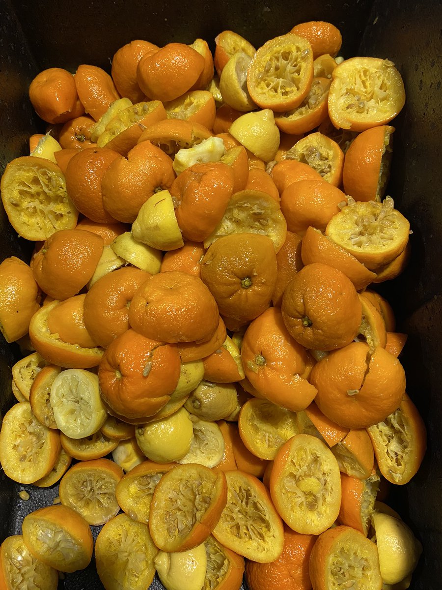 We have a large quantity of Seville Orange and Lemon peel which has been steeping in gin and sugar for 8 weeks…. Ideal for marmalade. Free to collector Sy57qg #nowoodwaste #wastenotwantnot #marmalade #gin #free #Shrewsbury