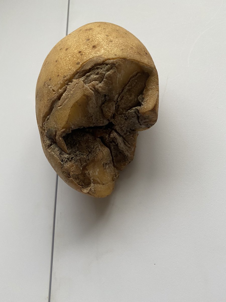 GUIDE BRIDGE MOT tweet media