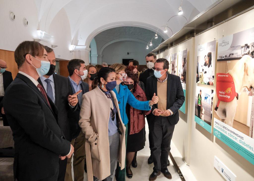 Inauguración en el <a href="/ParlamentoAnd/">Parlamento Andalucía</a> de la expo fotográfica de #PRODIA, asociación que, sin ideología política alguna, pretende concienciarnos de los derechos, la dignidad y todo lo que nos aportan los animales a los seres humanos. Bravo por ésta tan justa y bella iniciativa! 💪❤️