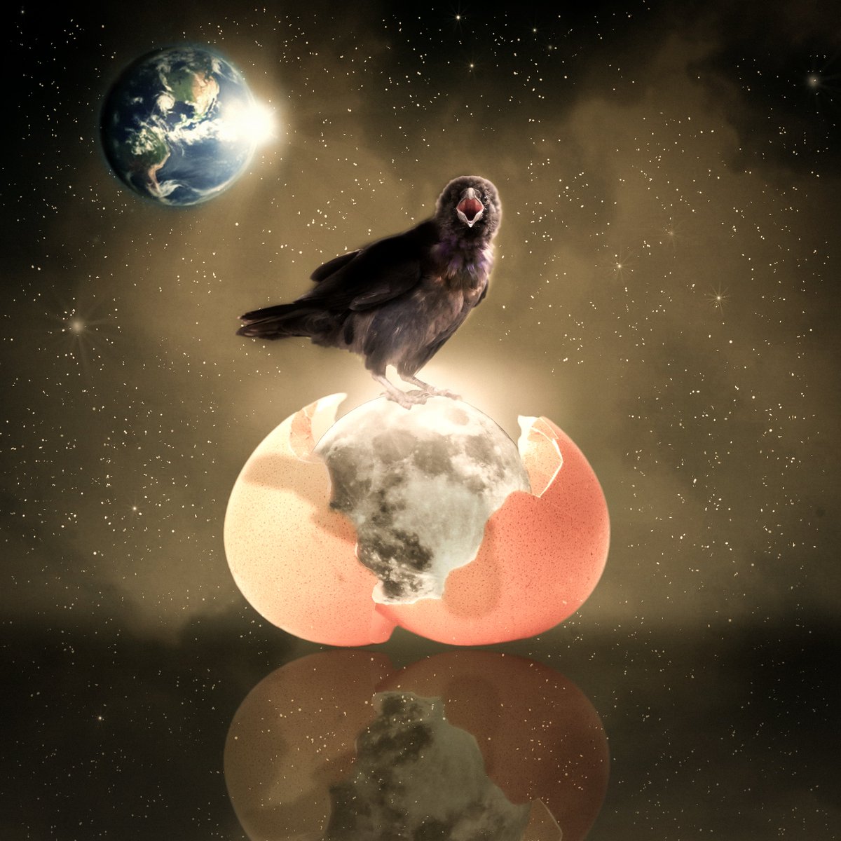 AdamValls's tweet photo. My favorite band, Haken, is having a contest. Design a piece of artwork for their upcoming single "Nightingale". It's due tomorrow so I'm in at the buzzer!
#HakenNightingale https://t.co/LIEucGb6l8