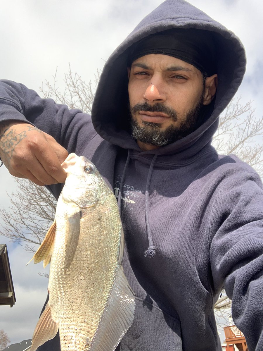 First open water catch of the year, white drum