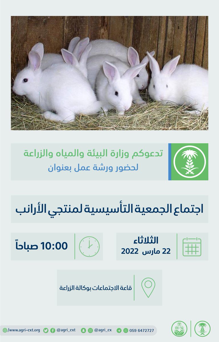 agri_ext's tweet photo. تدعوكم وزارة البيئة والمياه والزراعة لحضور ورشة عمل إجتماع الجمعية التأسيسية لمنتجي #الأرانب 🐇 المقررة ⏰ 10:00 صباح الثلاثاء 22 مارس الجاري
#مرشدك_الزراعي
#عام_القهوة_السعودية_2022 https://t.co/bVY9LkISxR