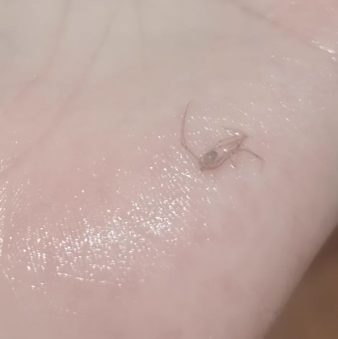 I was ...washing my hair.
Washed a spider out of my hair
Sorry buddy 