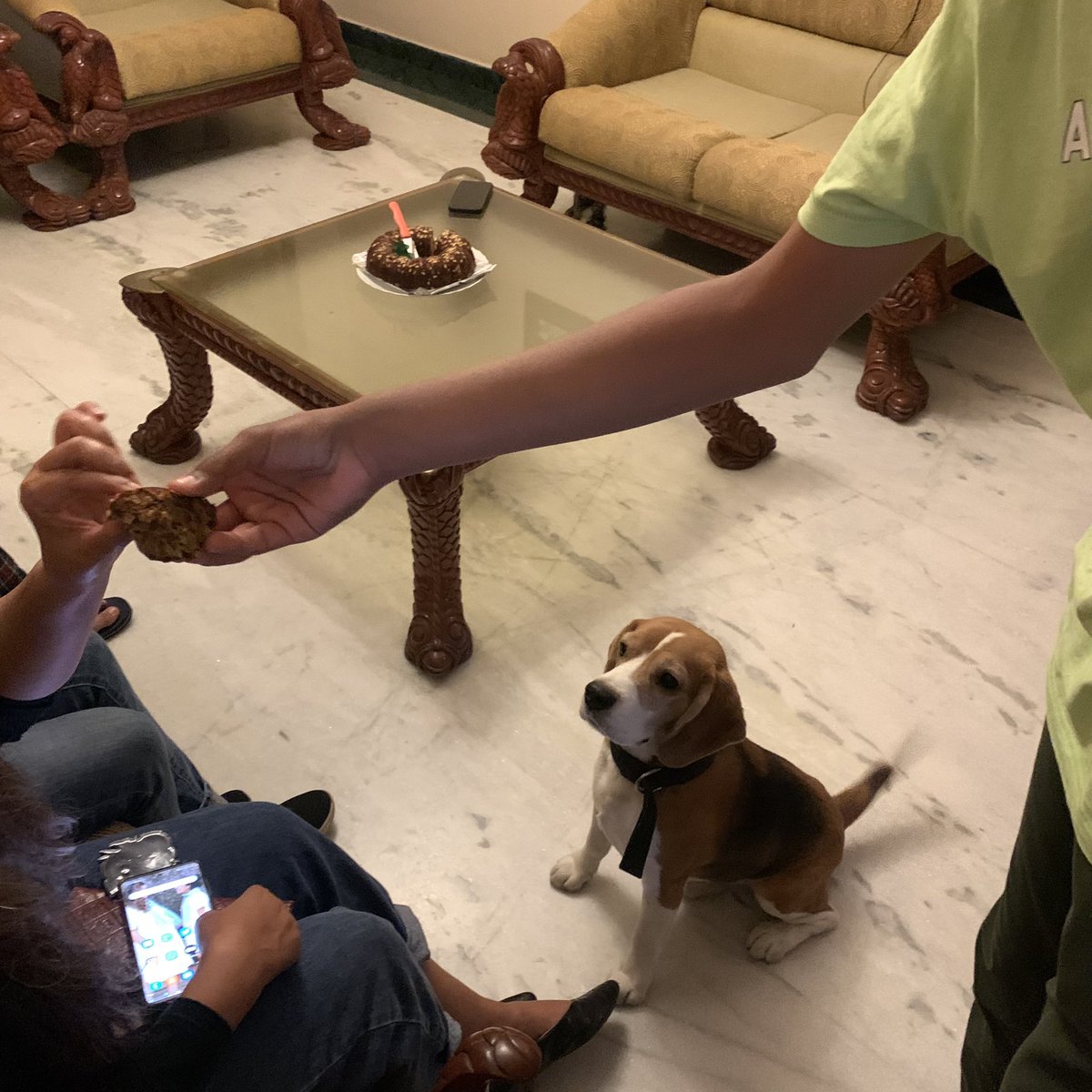 Sheetal29May's tweet photo. This is called clarity !!!! #messithebeagle waiting for his turn to get his share of cake π#dogsoftwitter #beaglelove #beagle https://t.co/Og9sxCzJTr