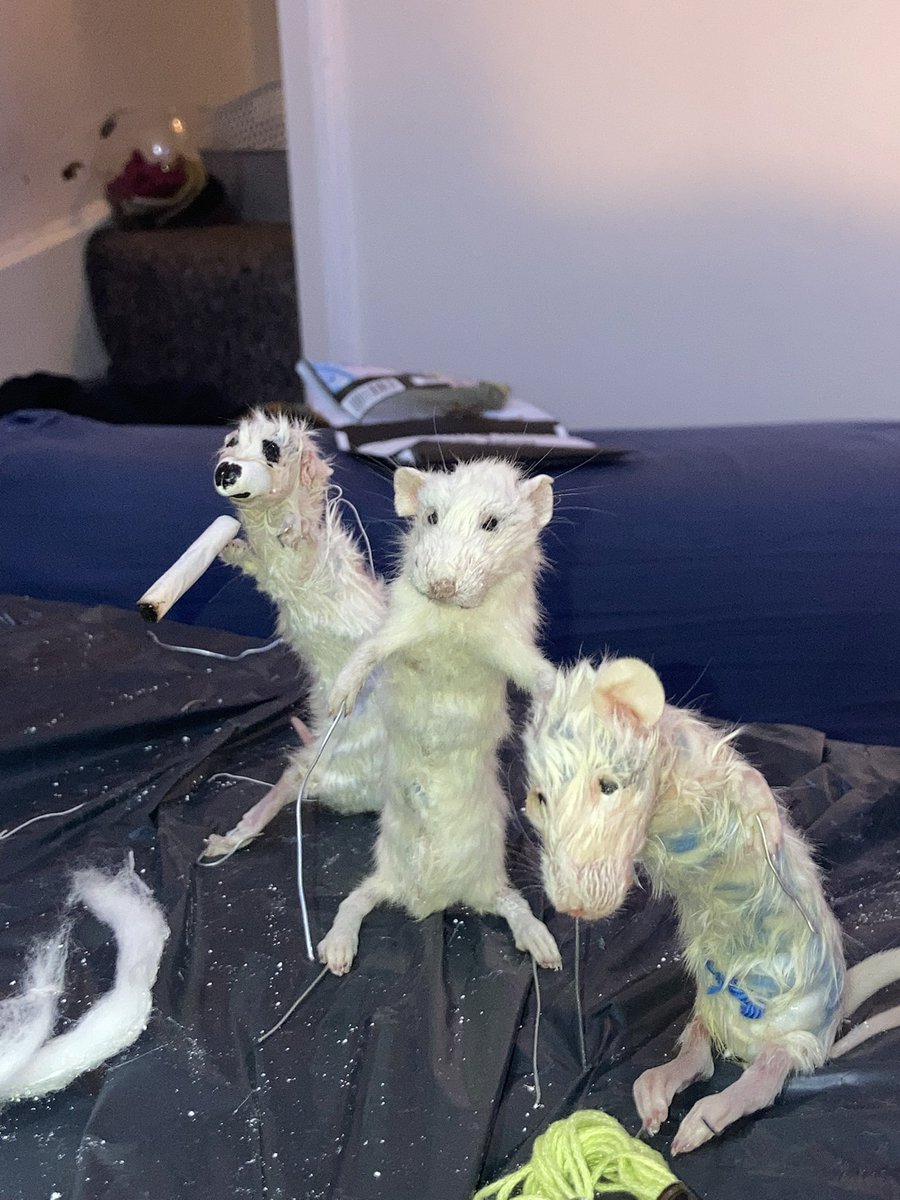 My friends are bad at taxidermy
