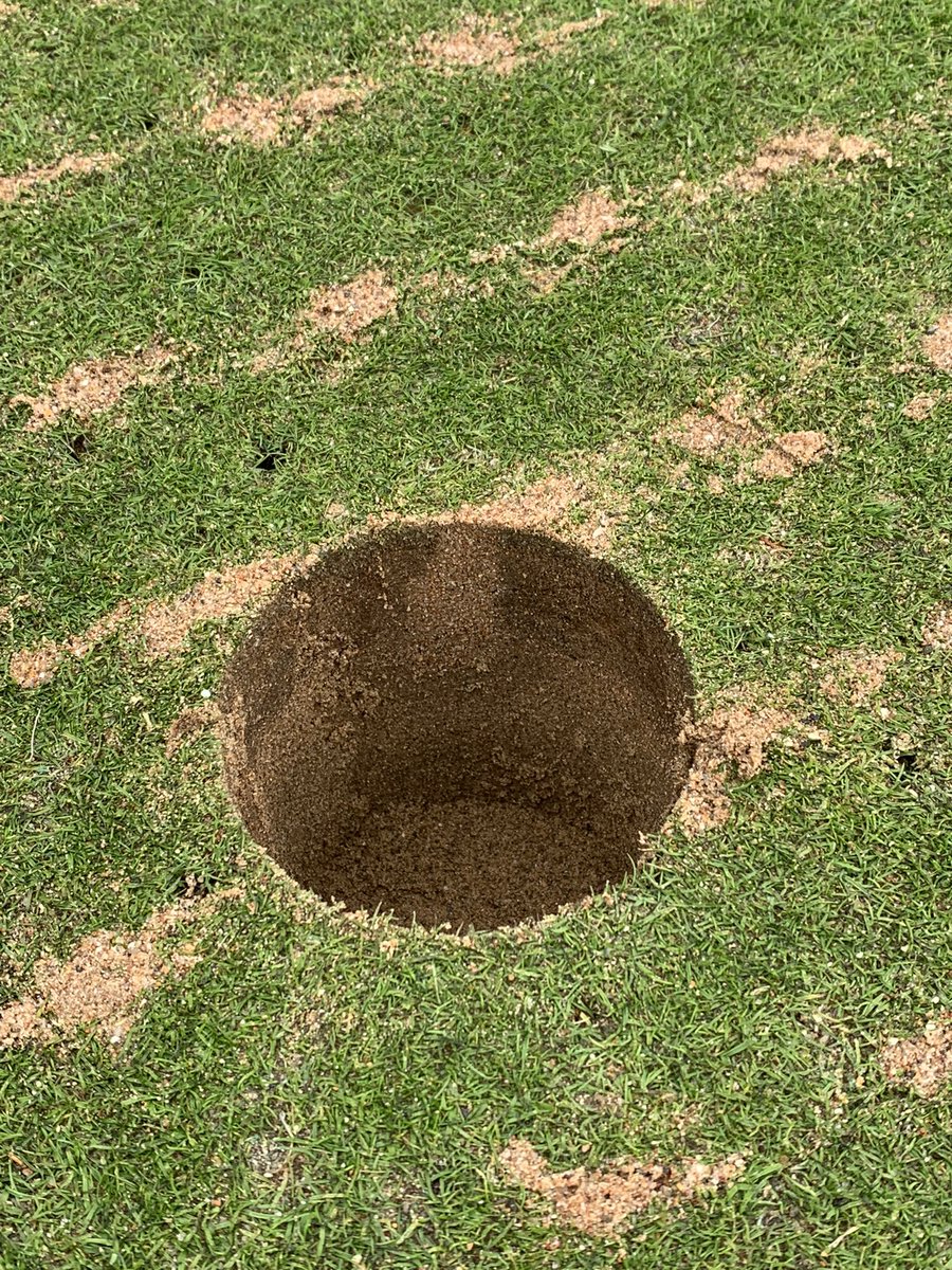 Siems Turfgrass Ltd tweet media