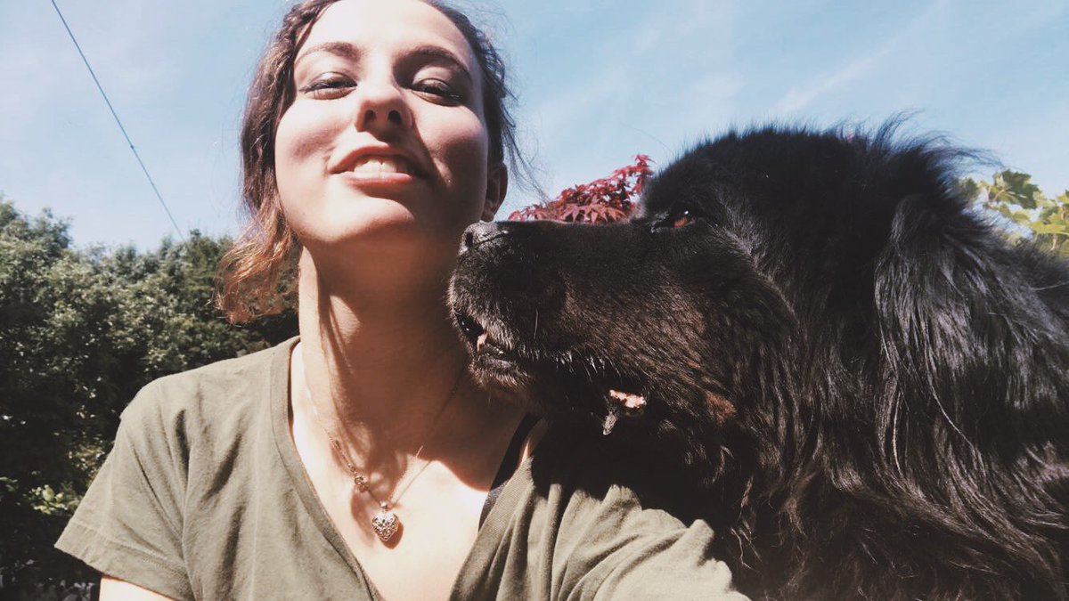 Saying Good bye to one of my dogs is such an hard thing  but was the right thing. Going to miss his fluffy face ❤️😭 RIP Yogi