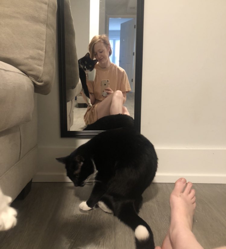 dillonsaur's tweet photo. I miss my babies so much 😭😭😭 https://t.co/vFZFez82CK