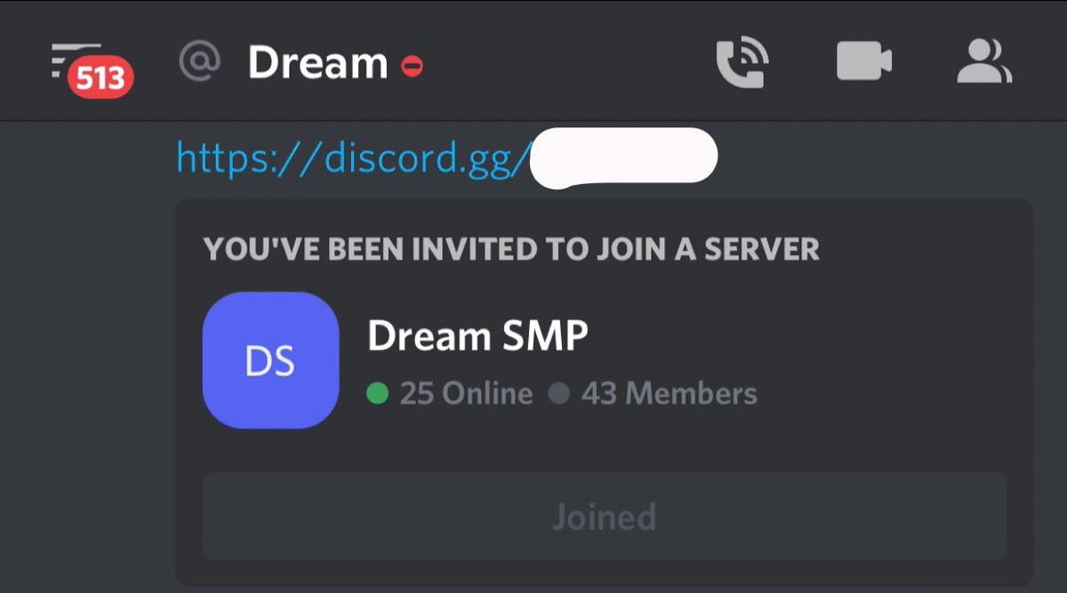 Sapnap (SMP), Dream Team Wiki