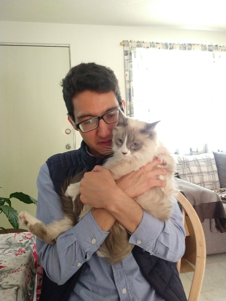 Mademoiselle Arya. Je kiffe les chats