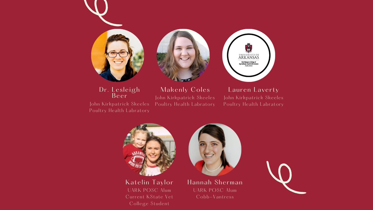 Poultry Science at the University of Arkansas tweet media