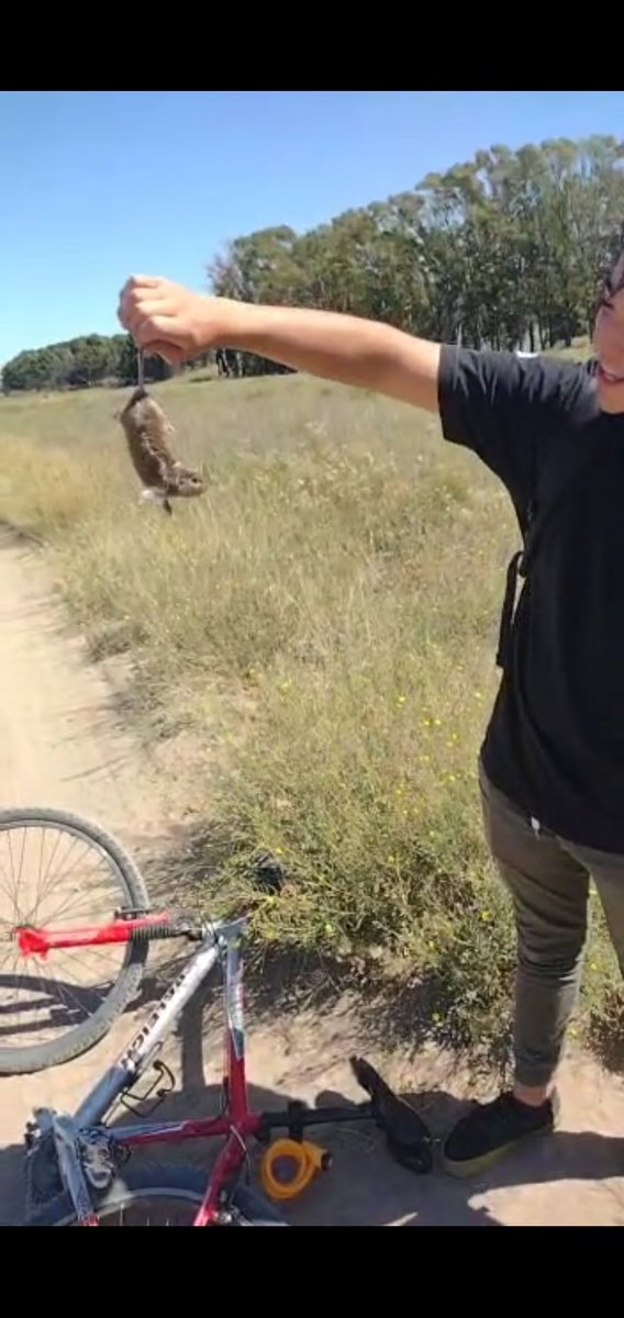 un dia como cualquier otro