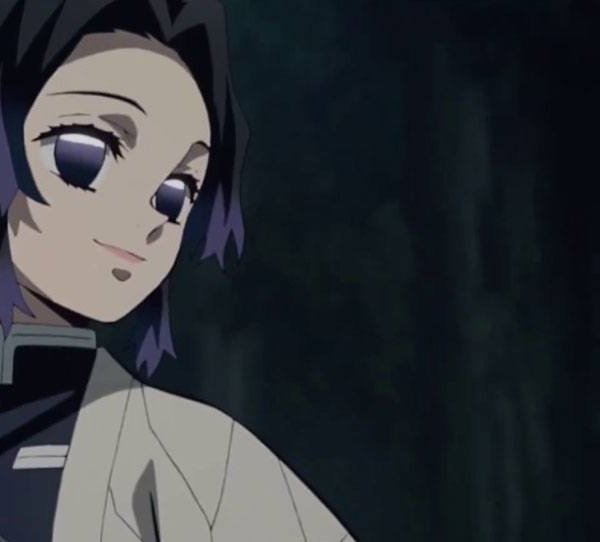 XiElAnimes's tweet photo. 🦋 𝐾𝑜𝑐ℎ𝑜̄ 𝑆ℎ𝑖𝑛𝑜𝑏𝑢 🦋 
                   胡蝶 しのぶ https://t.co/U9xSr4xJIX